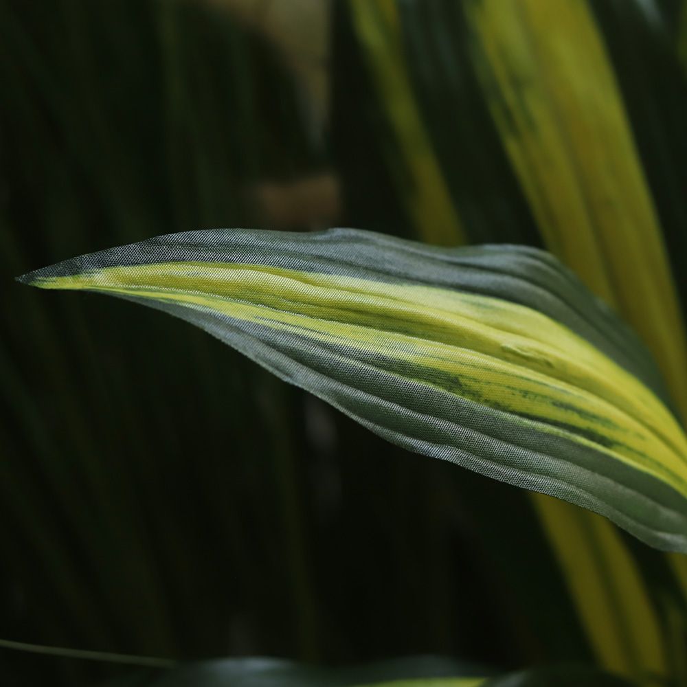 Draceana Fragrans 70cm Kunstplant Burley