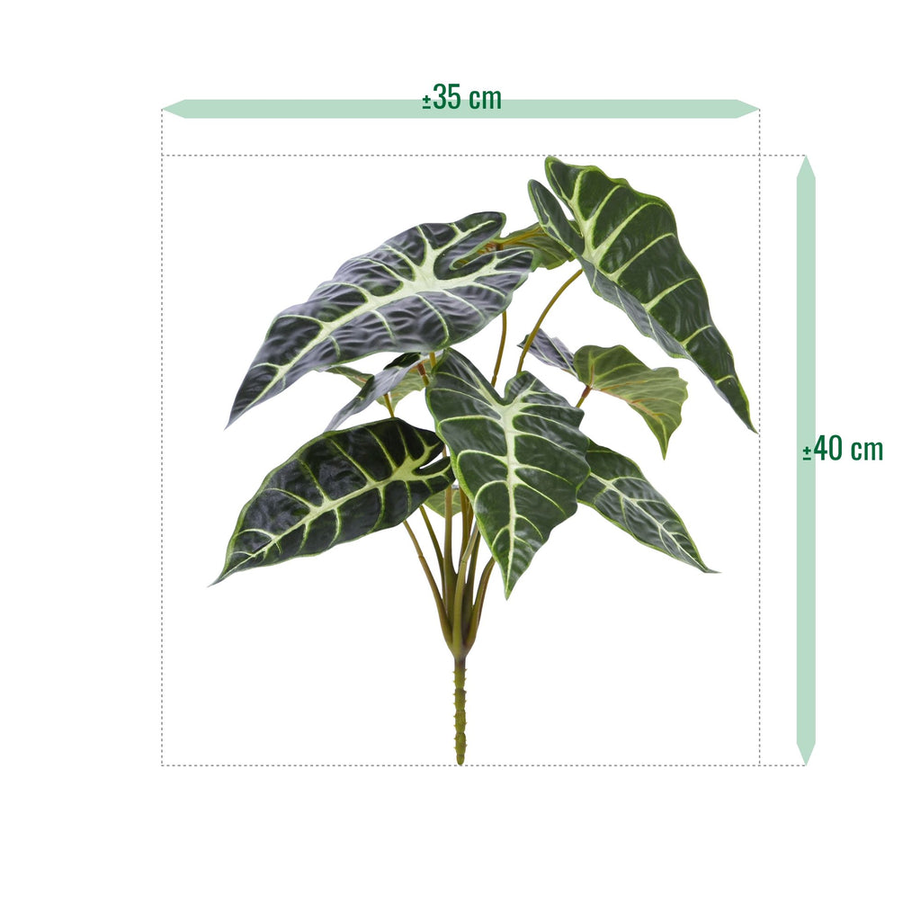 Alocasia Kunstplant Promo 40cm groen