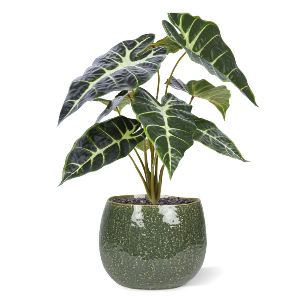 Alocasia Kunstplant Promo 40cm groen