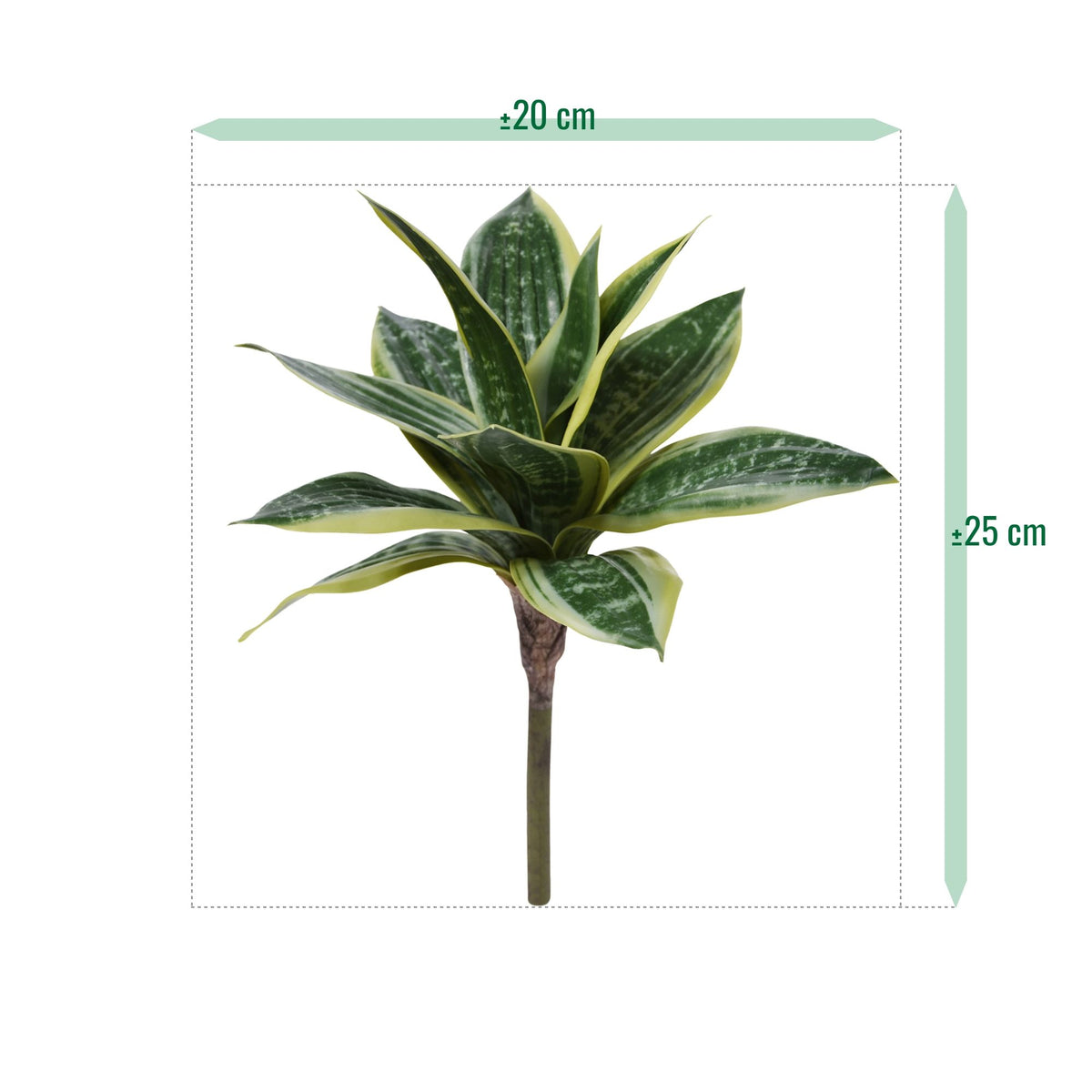 Sanseveria Kunstplant 25cm bont