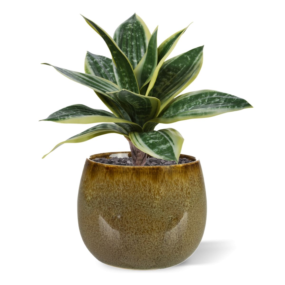 Sanseveria Kunstplant 25cm bont