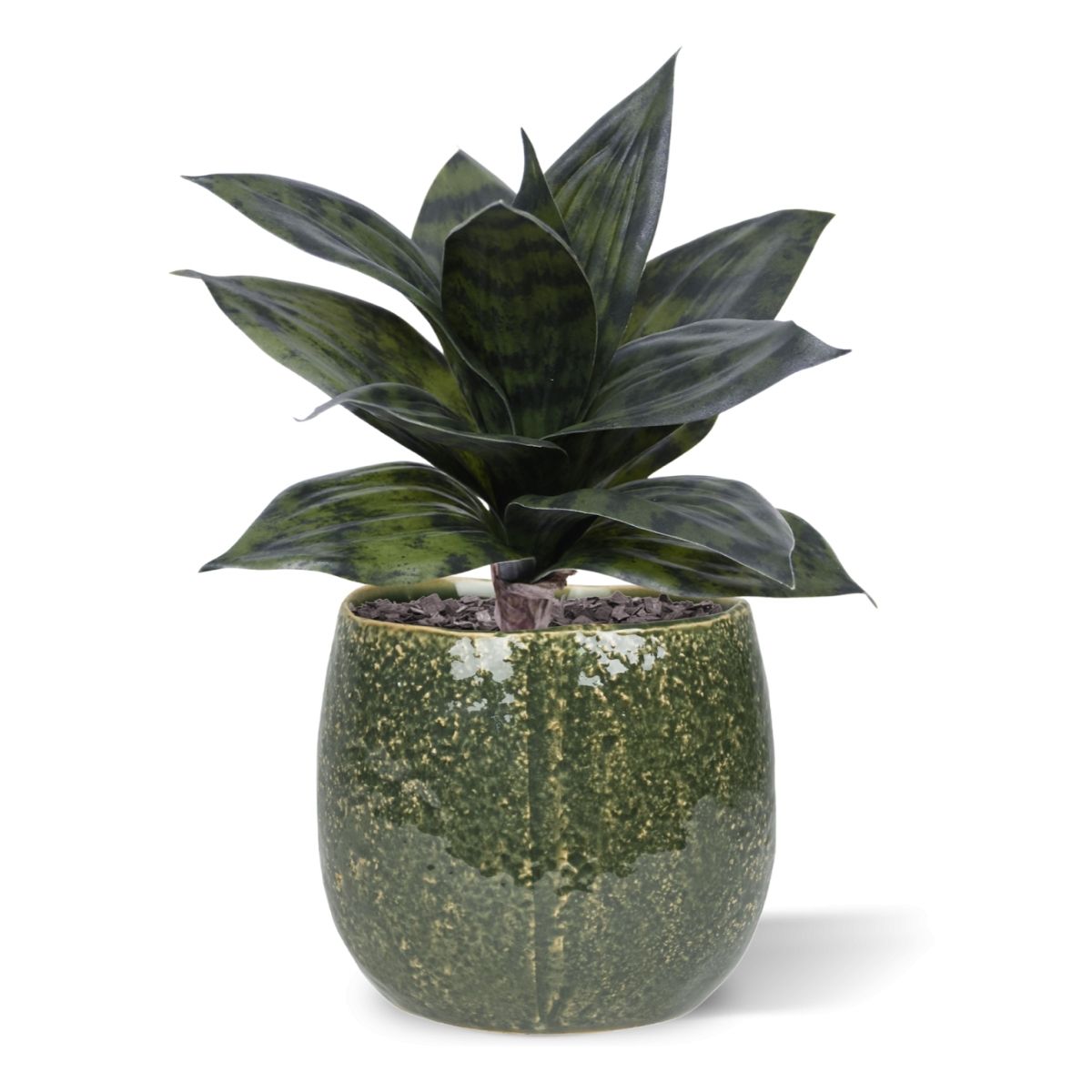 Sanseveria Kunstplant 25cm groen