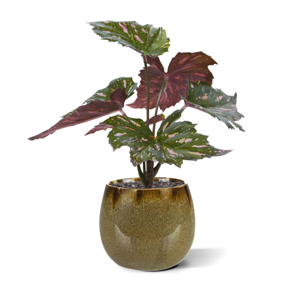 Begonia Rex kunstplant groen rood 20cm