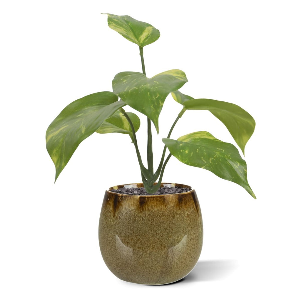Pothos kunstplant bont 20cm