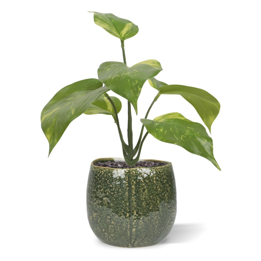 Pothos kunstplant bont 20cm