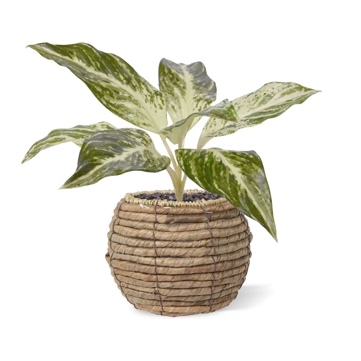Dieffenbachia Vesuvius kunstplant 35cm