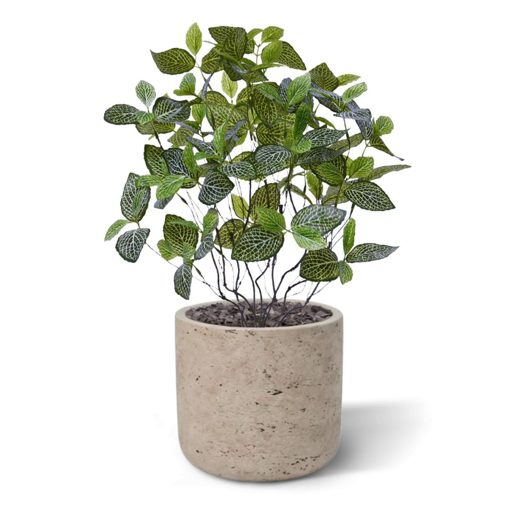 Fittonia Mont Blanc kunstplant 50cm