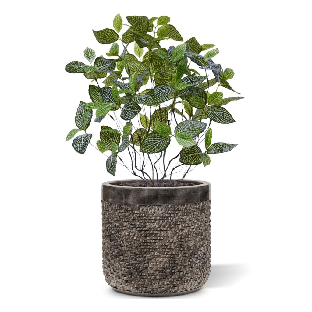 Fittonia Mont Blanc kunstplant 50cm