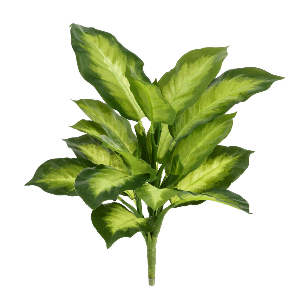 Dieffenbachia Kunstplant 33cm