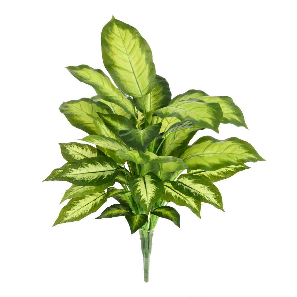 Dieffenbachia Kunstplant 55cm