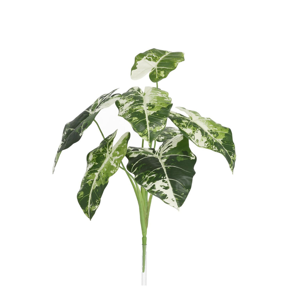 Alocasia Frydek Kunstplant Variegata 60cm