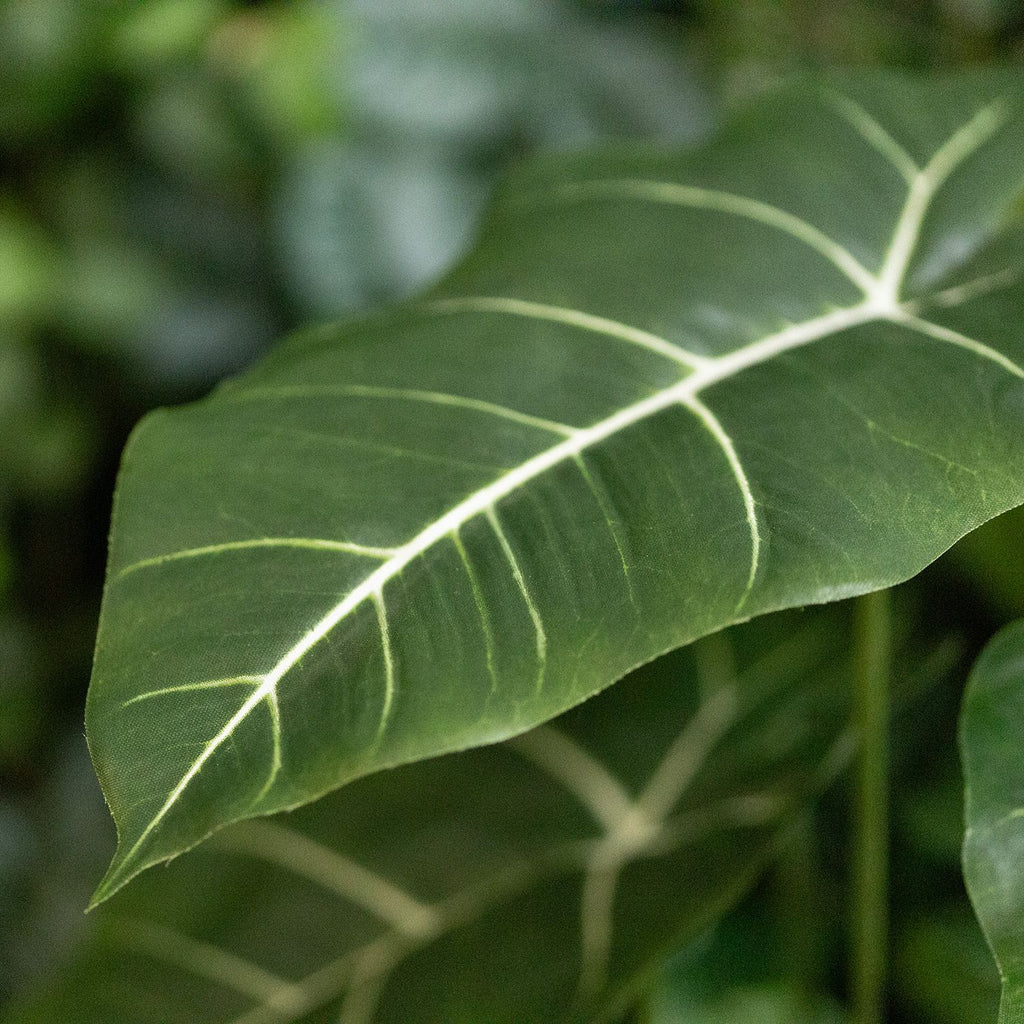 Alocasia Frydek Kunstplant 60cm Groen
