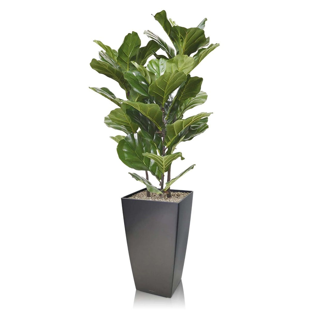 Lyrata kunstplant 95cm