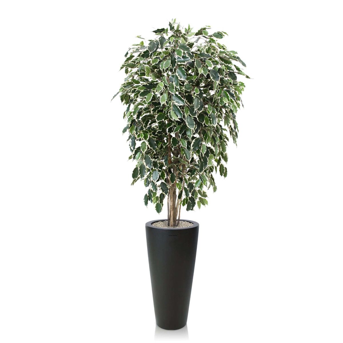Ficus Exotica deluxe kunstboom 150cm - bont