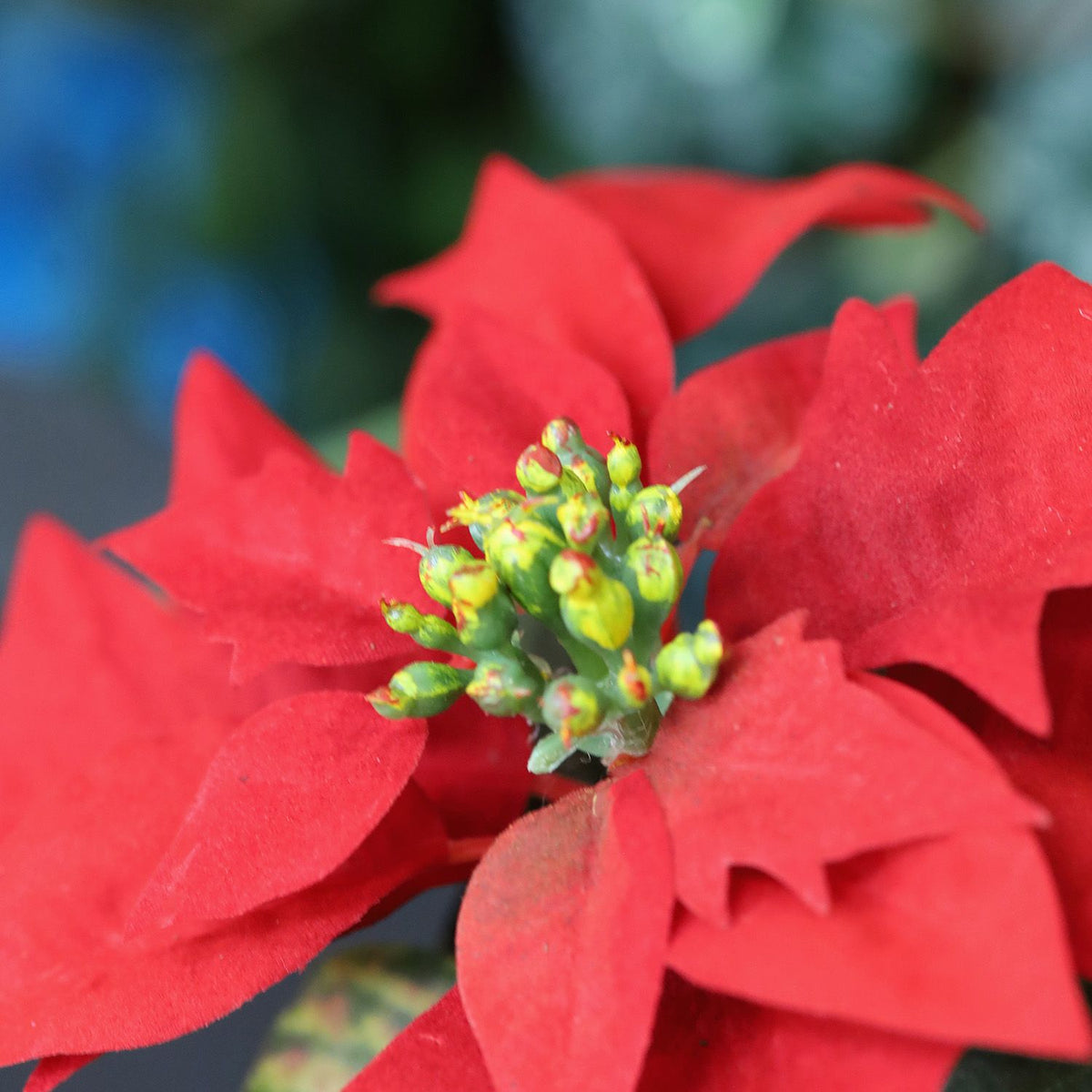 Mini kerstster Poinsettia kunstplant 10cm