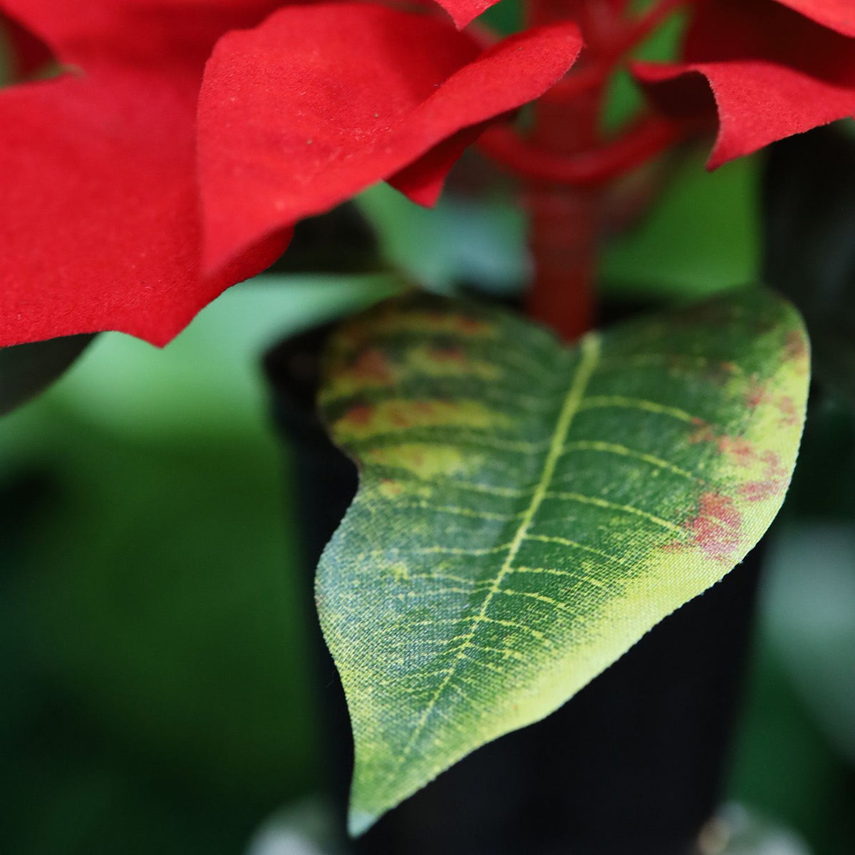 Mini kerstster Poinsettia kunstplant 10cm