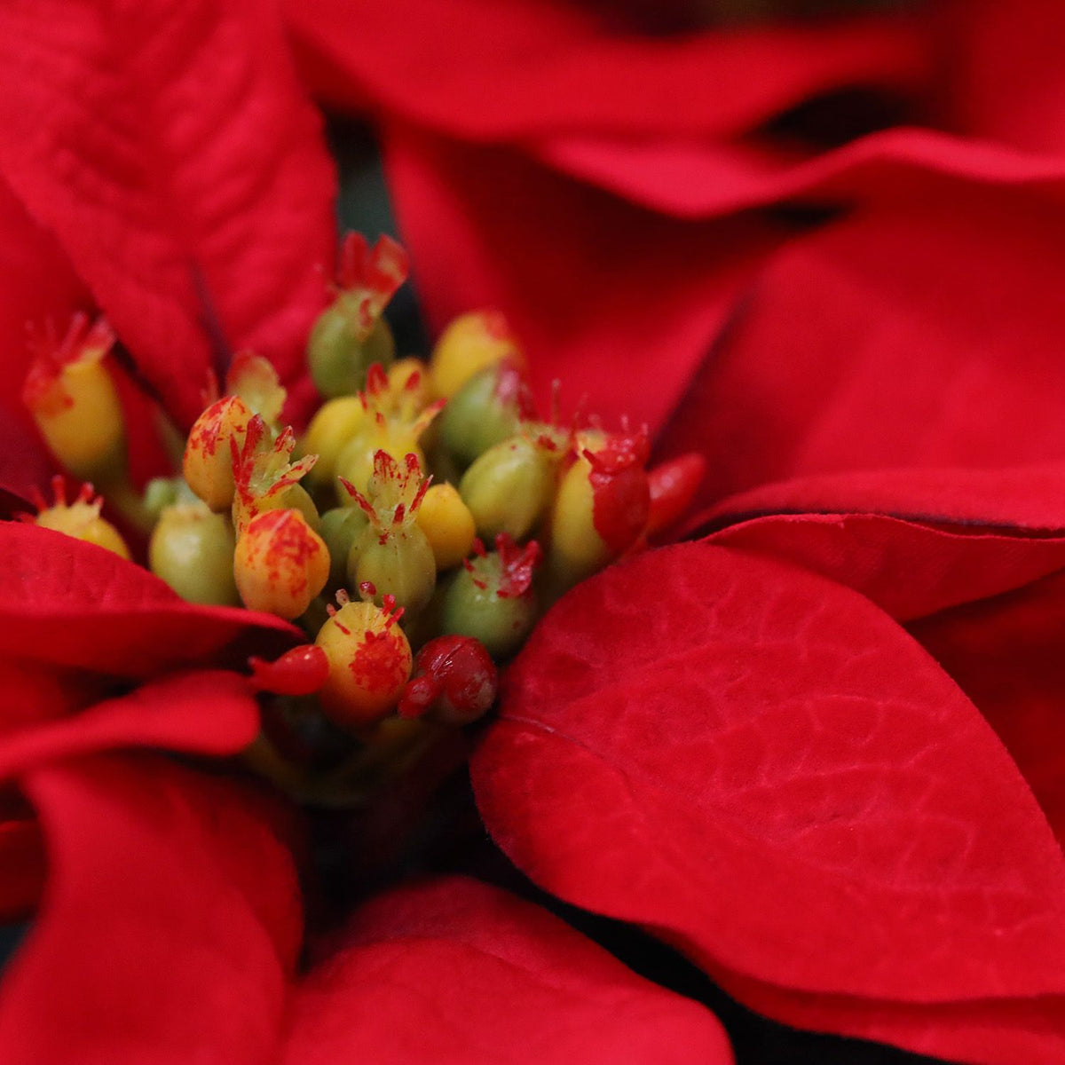 Poinsettia kerstster kunstplant 40cm zonder kweekpot
