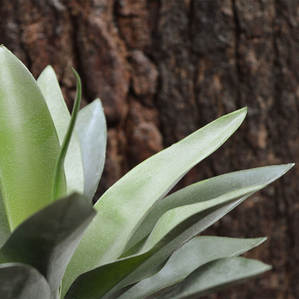 Agave kunstplant 25cm in 10cm pot