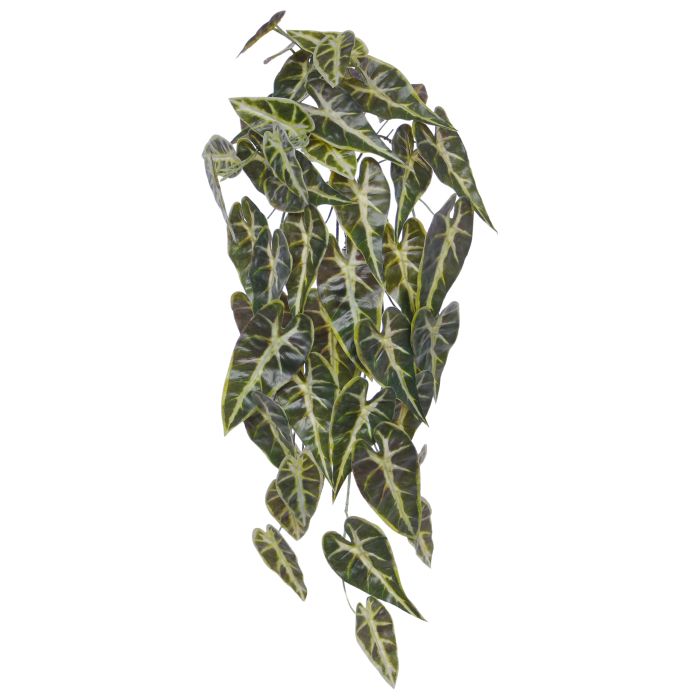 Alocasia Kunsthanger Frydek bont 60cm