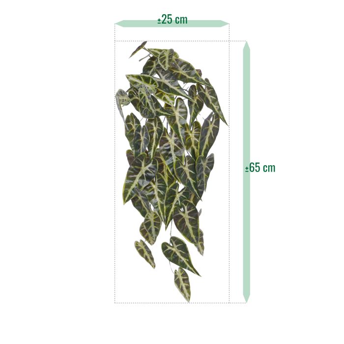 Alocasia Kunsthanger Frydek bont 60cm