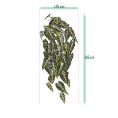 Alocasia Kunsthanger Frydek bont 60cm
