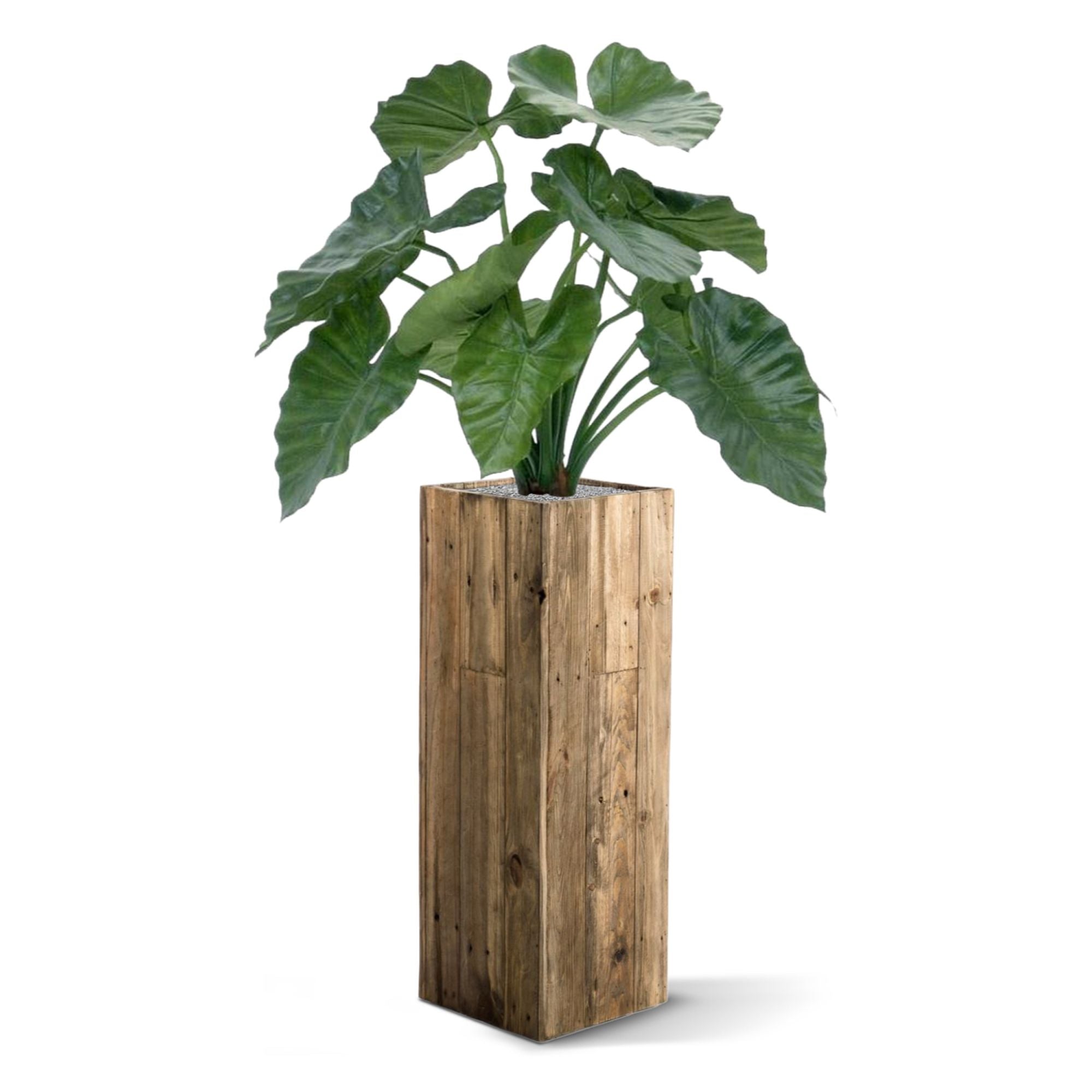 Alocasia Calidora kunstplant 60cm