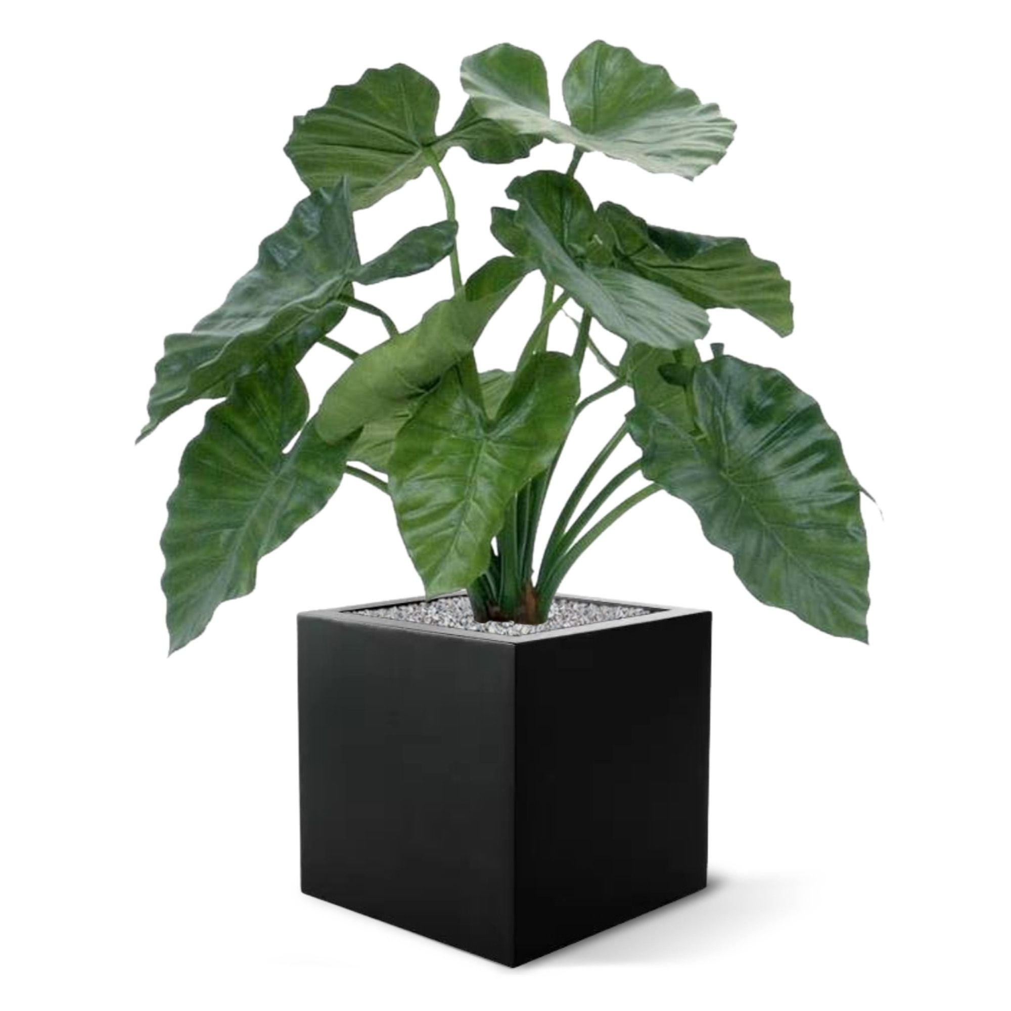 Alocasia Calidora kunstplant 60cm