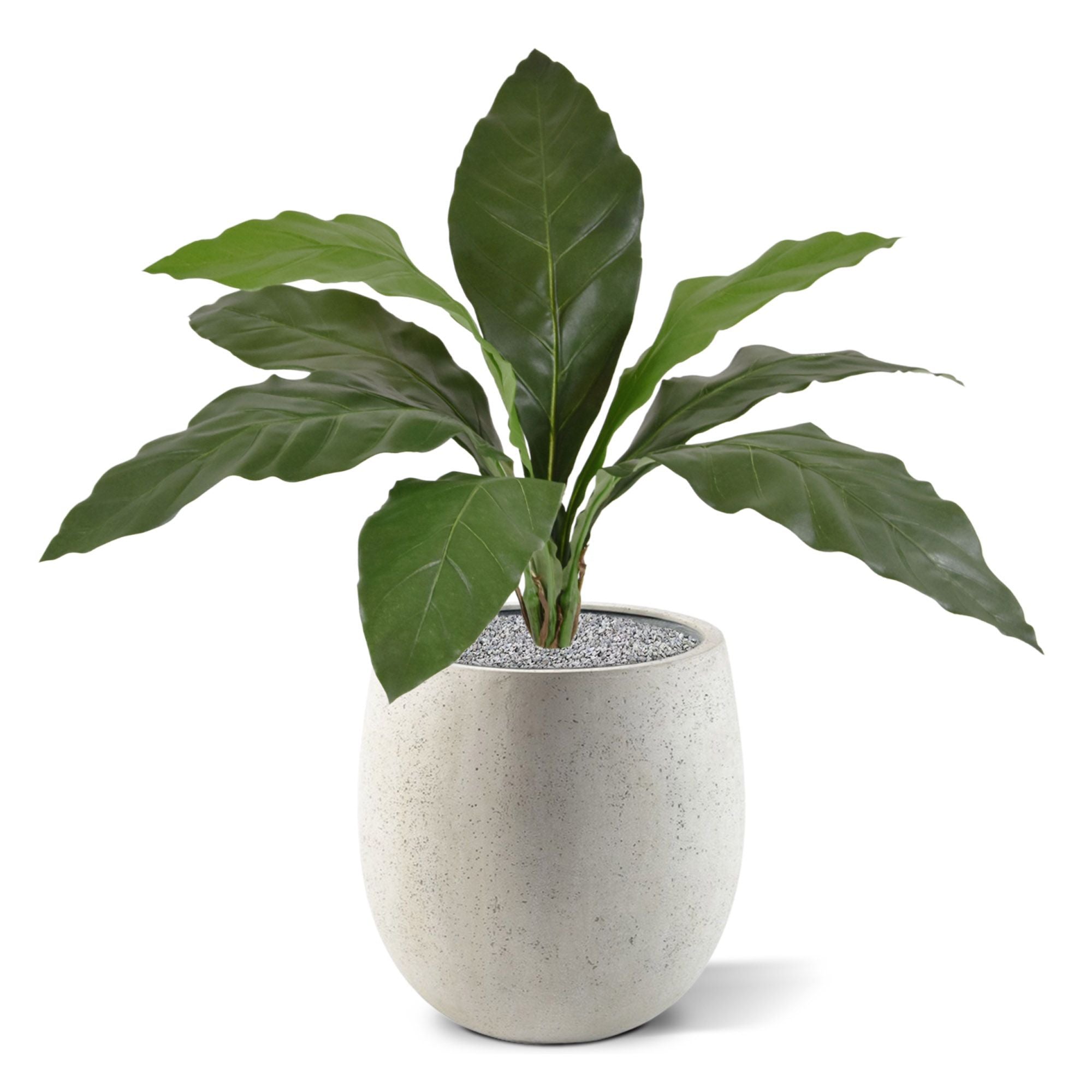 Anthurium Jungle King kunstplant 60cm