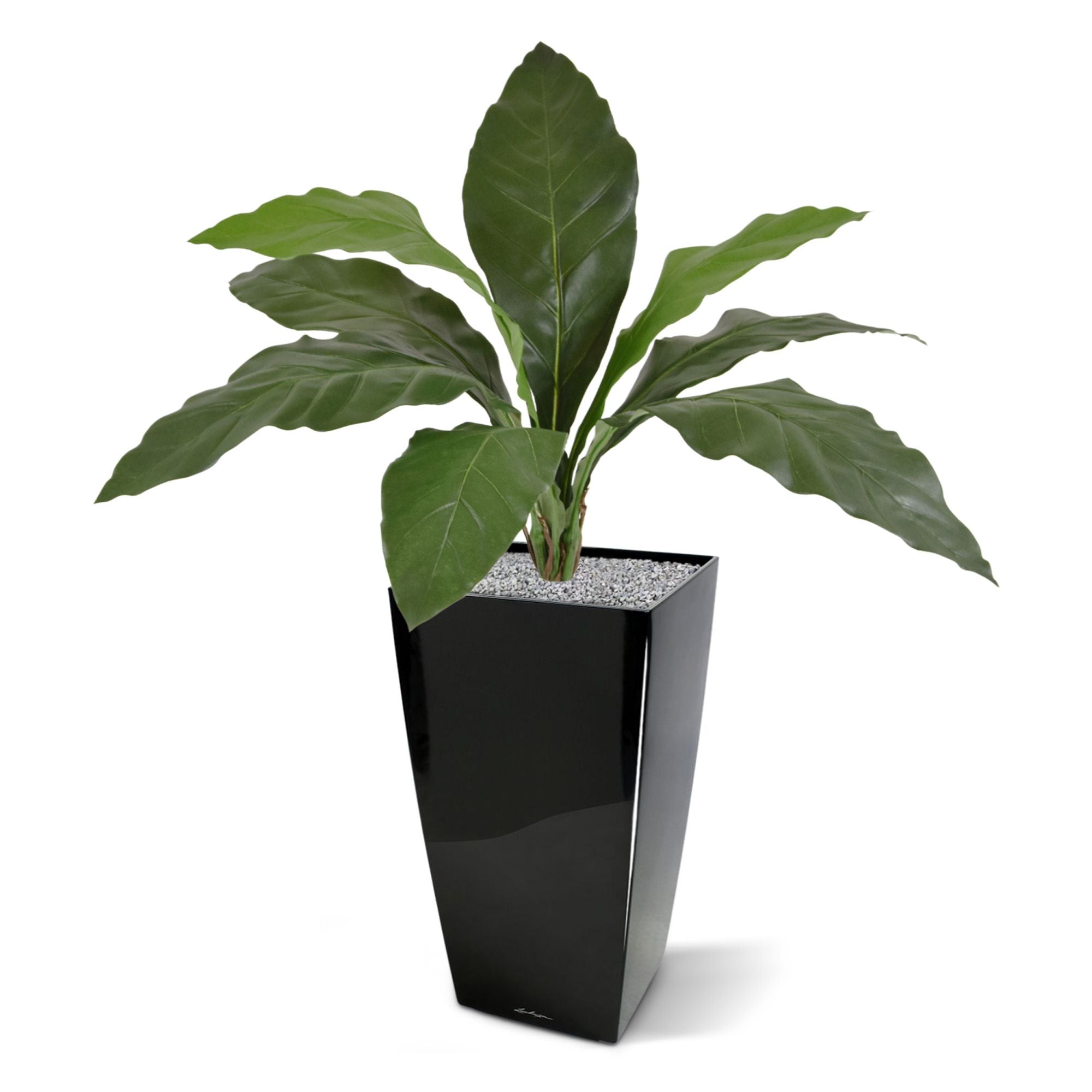 Anthurium Jungle King kunstplant 60cm