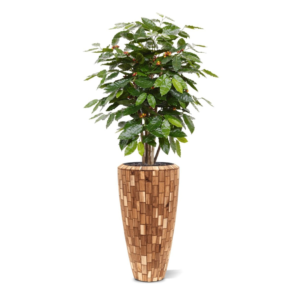 Coffee Arabica kunstplant 100cm