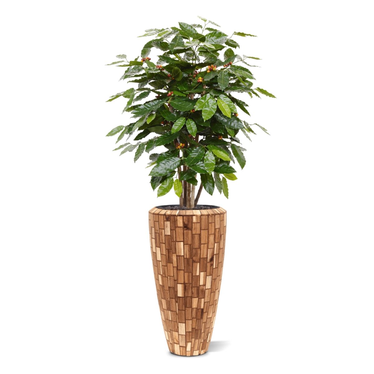Coffee Arabica kunstplant 100cm