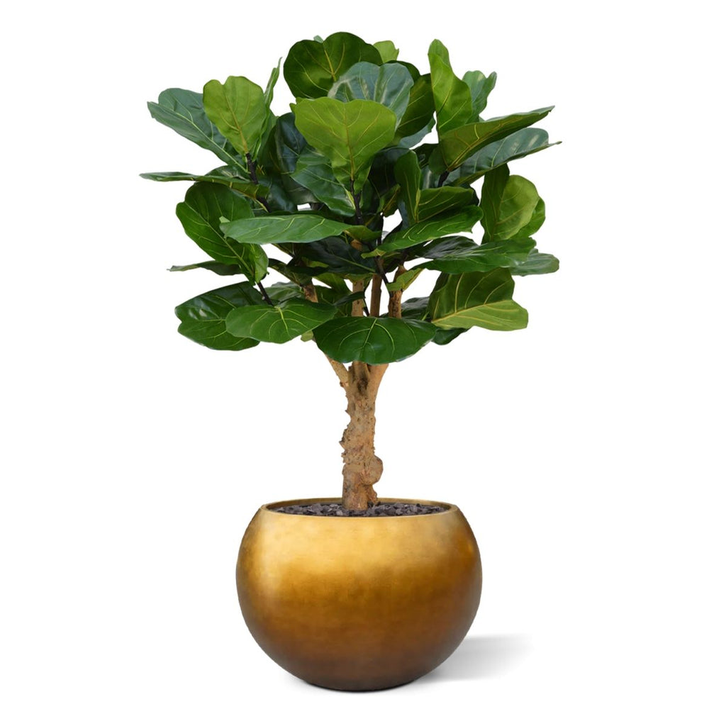 Lyrata deluxe kunstplant op stam 125cm