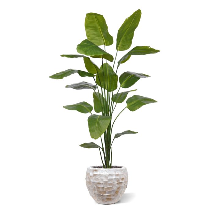 Strelitzia Nicolai kunstplant 210cm