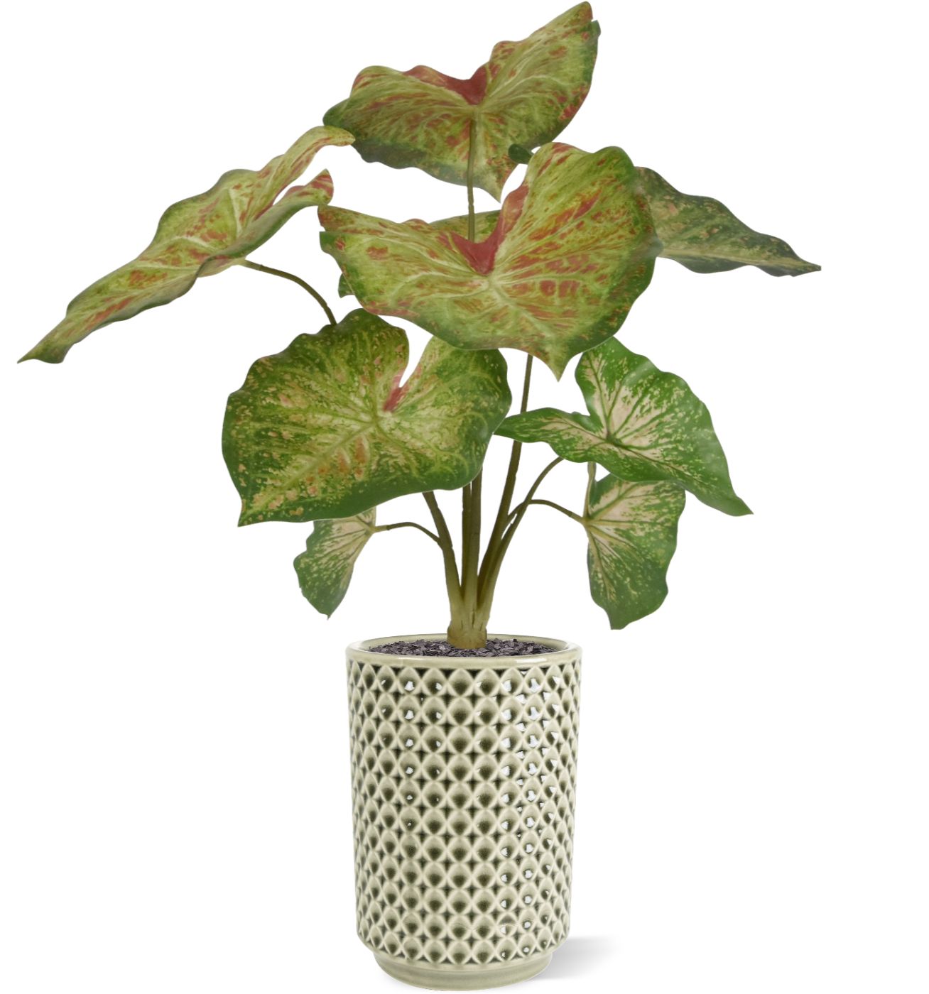 Caladium raspberry kunstplant 40cm zonder kweekpotje