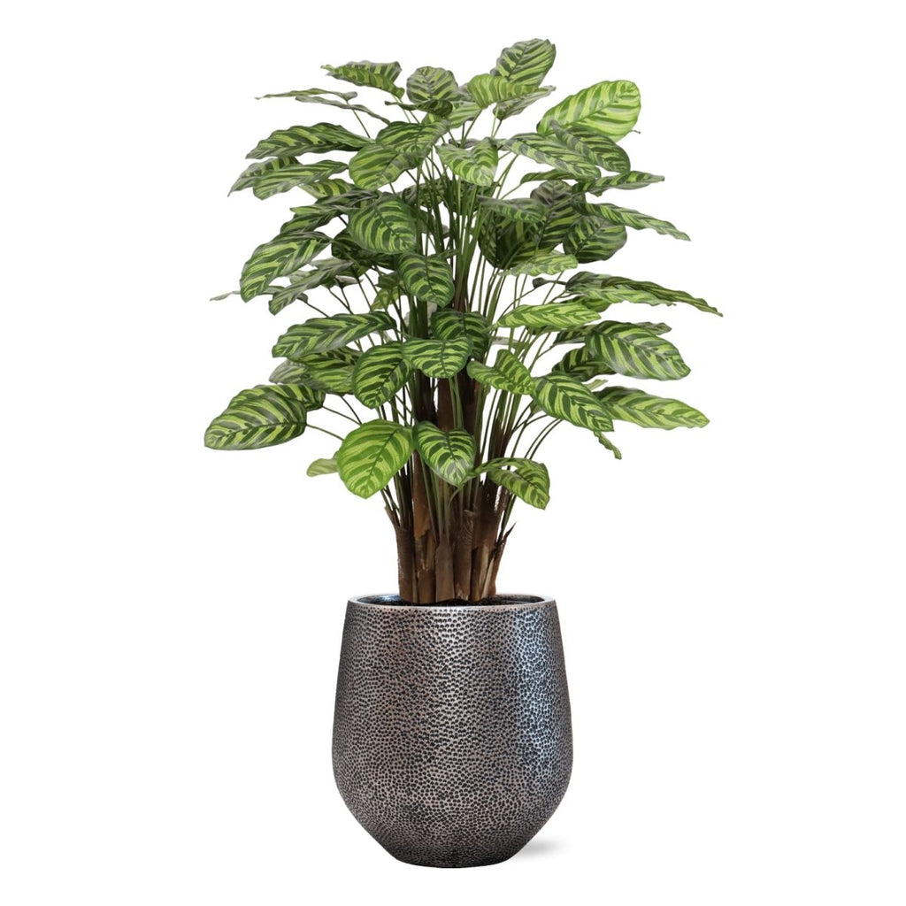 Calathea Makoyana kunstplant Deluxe 115cm
