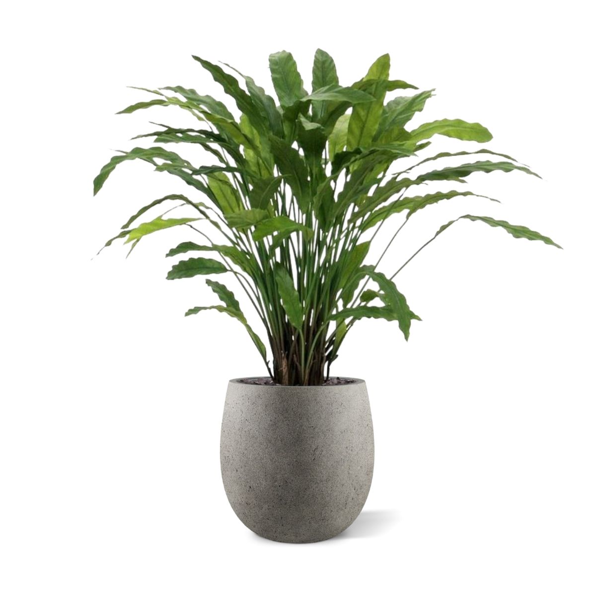 Calathea kunstplant 85cm - groen