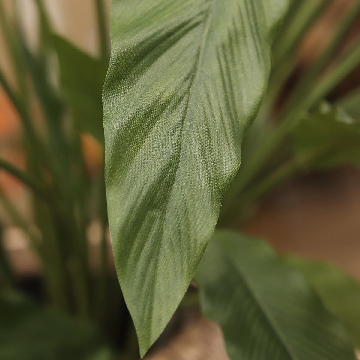 Calathea 75cm Kunstplant groen