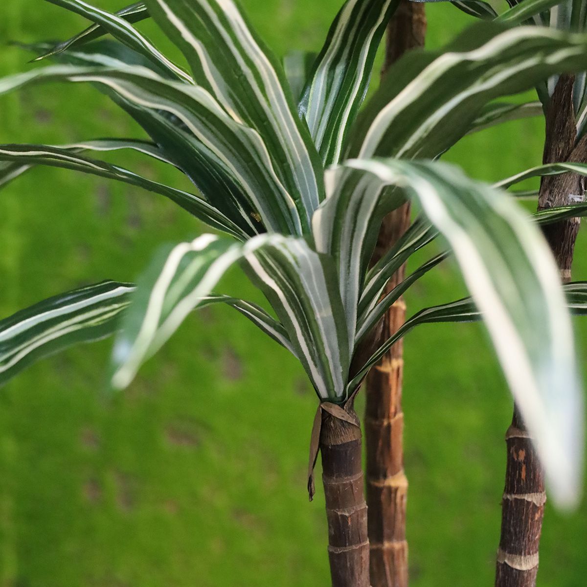 Draceana Deluxe kunstplant groen-bont 95cm