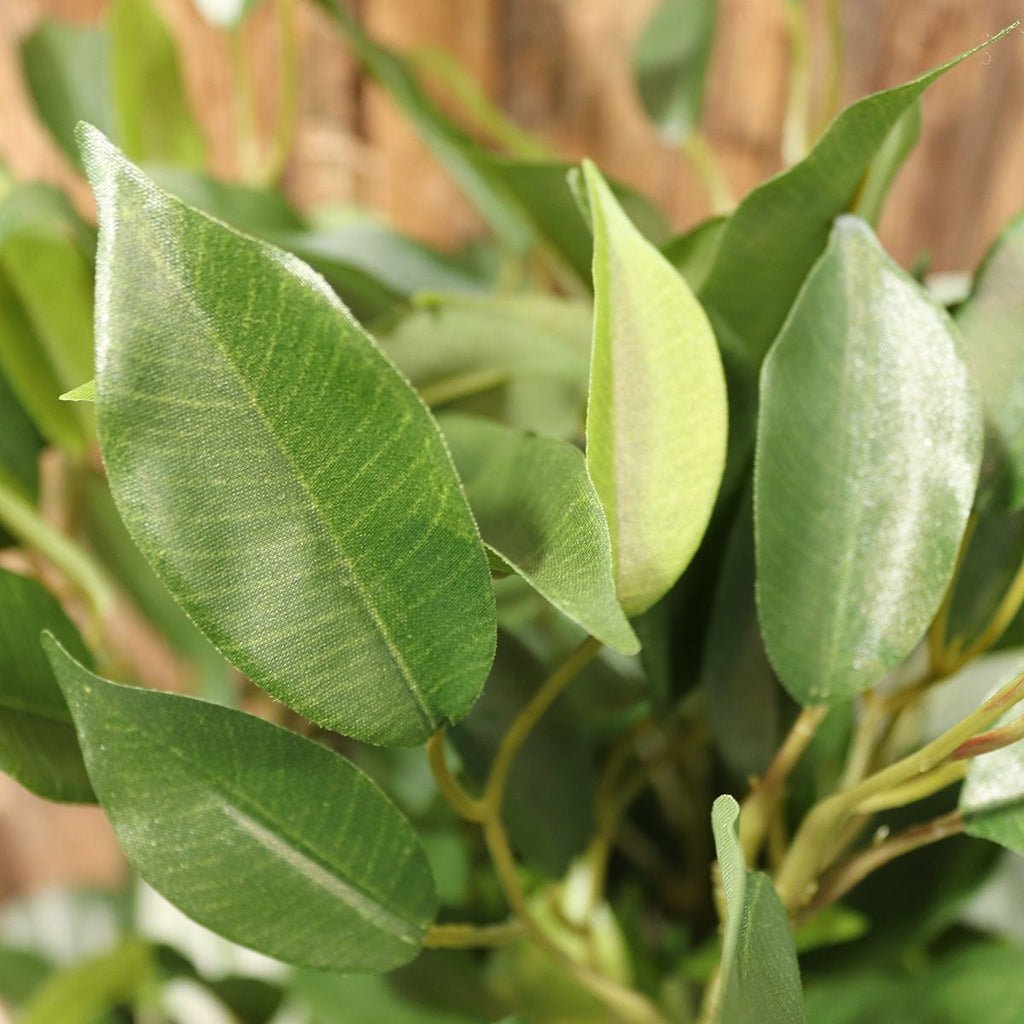 Ficus Natasja Kunstplant 40cm in 10cm pot
