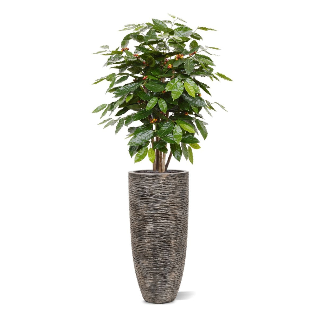 Coffee Arabica kunstplant 100cm