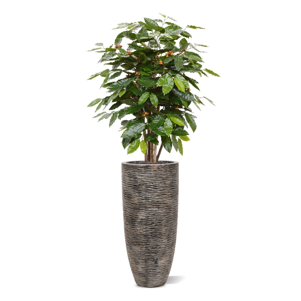 Coffee Arabica kunstplant 100cm