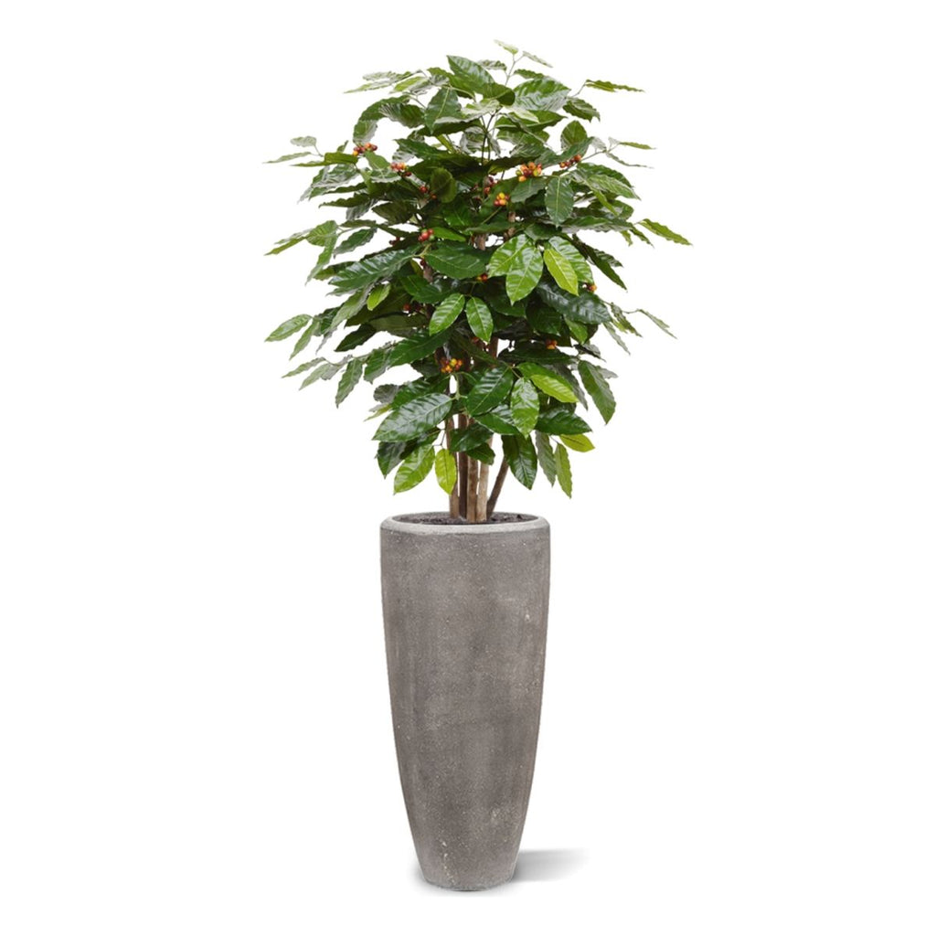 Coffee Arabica kunstplant 100cm