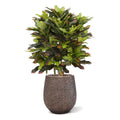 Croton deluxe XL kunstplant 90cm