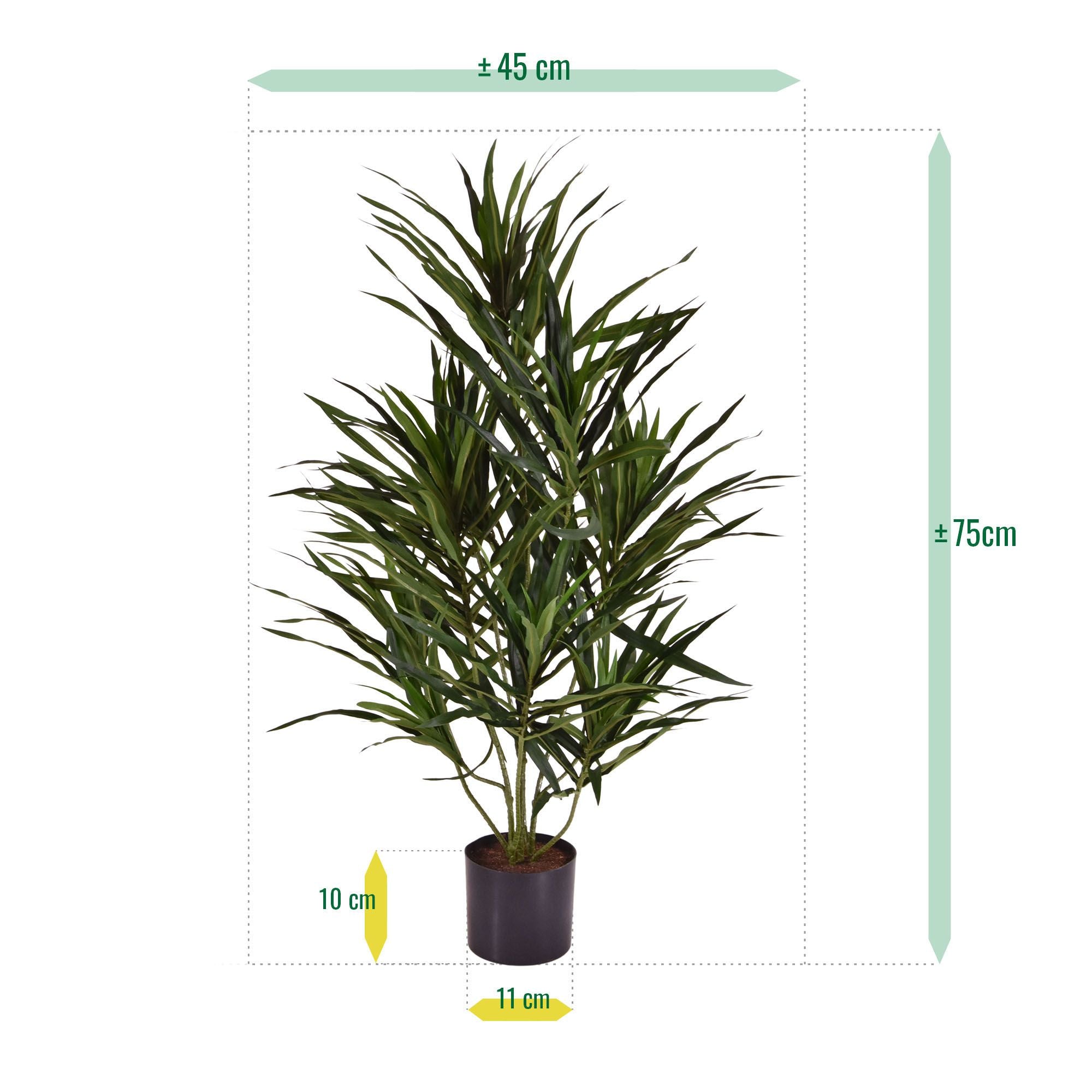 Draceana Reflexa Anita kunstplant 70cm