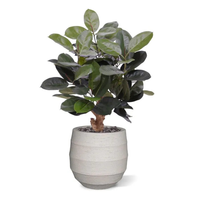 Elastica Robusta kunstplant 95cm groen