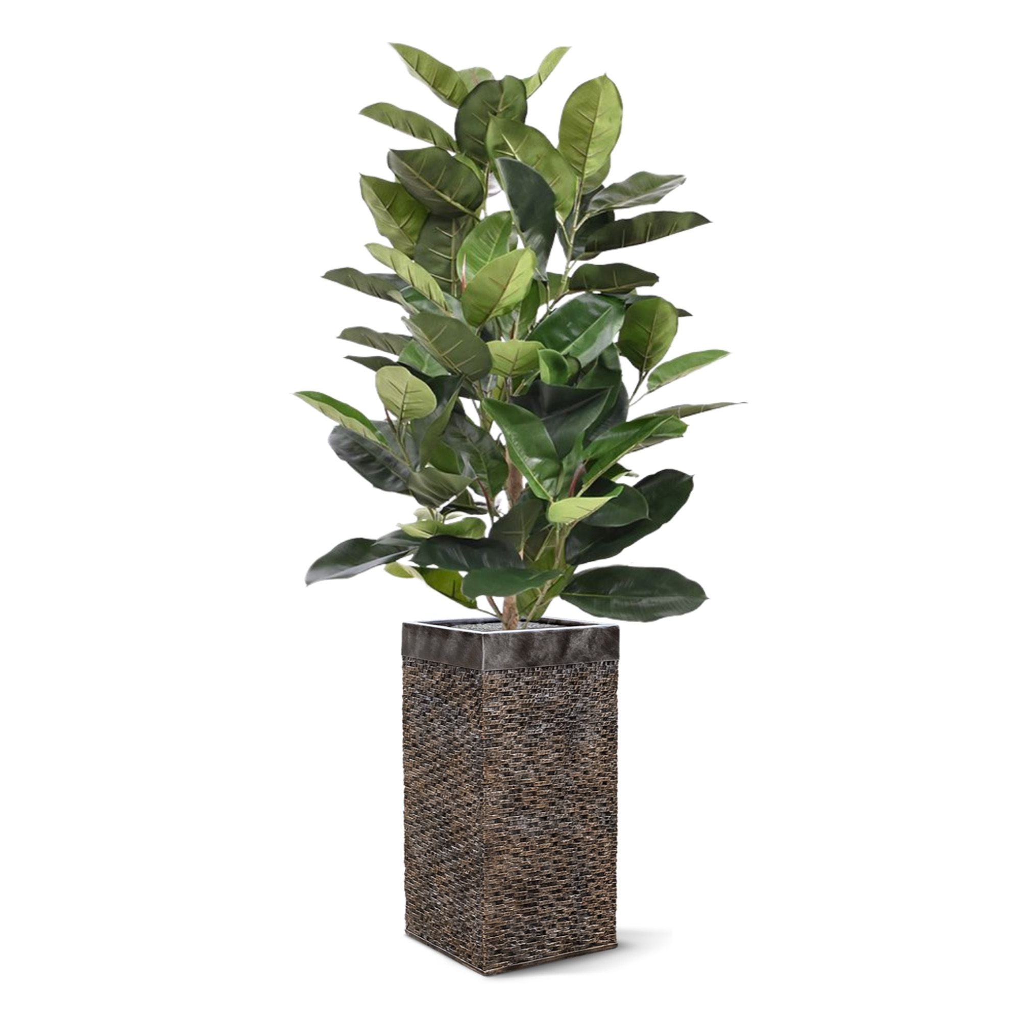 Elastica Robusta kunstplant 120cm - groen