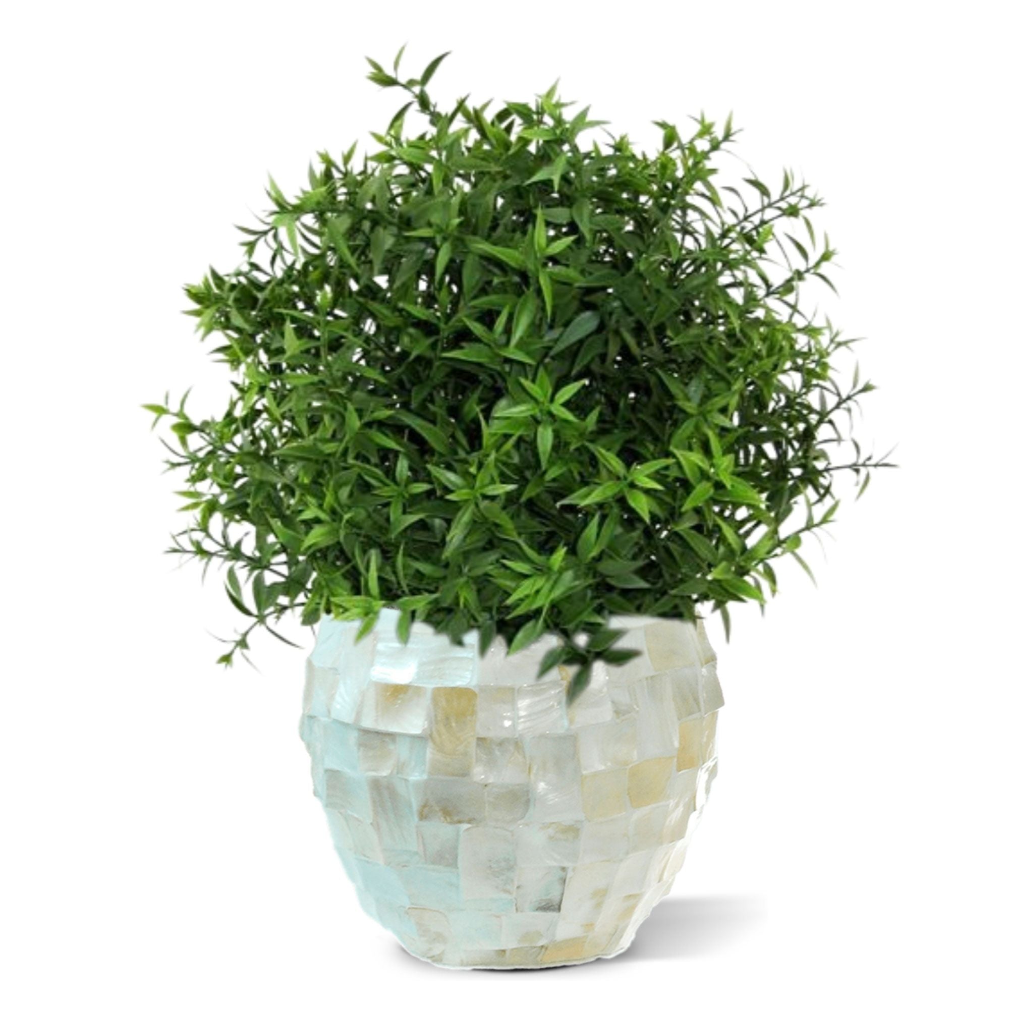 Eucalyptus kunstplant 35cm