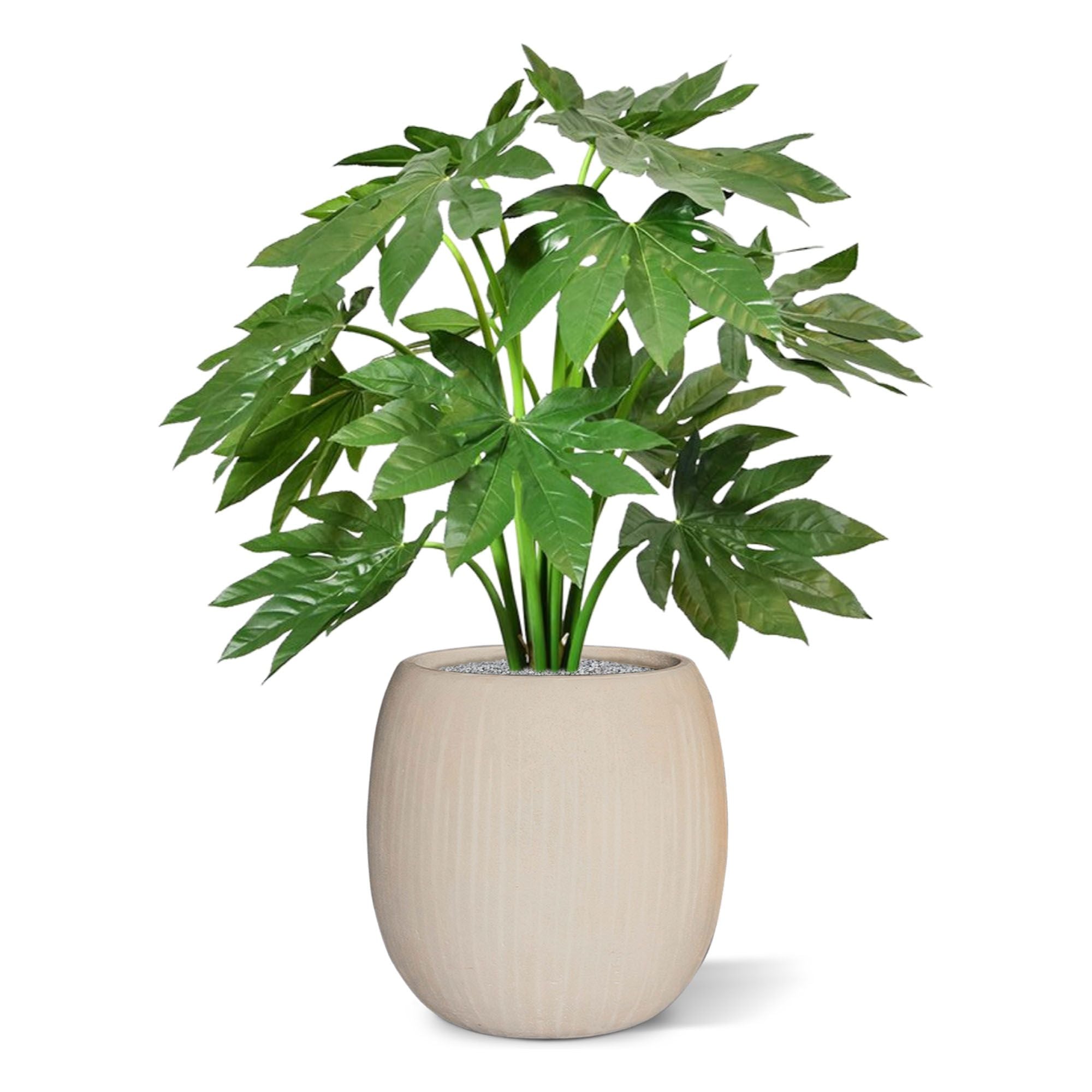 Fatsia Japonica kunstplant 80cm
