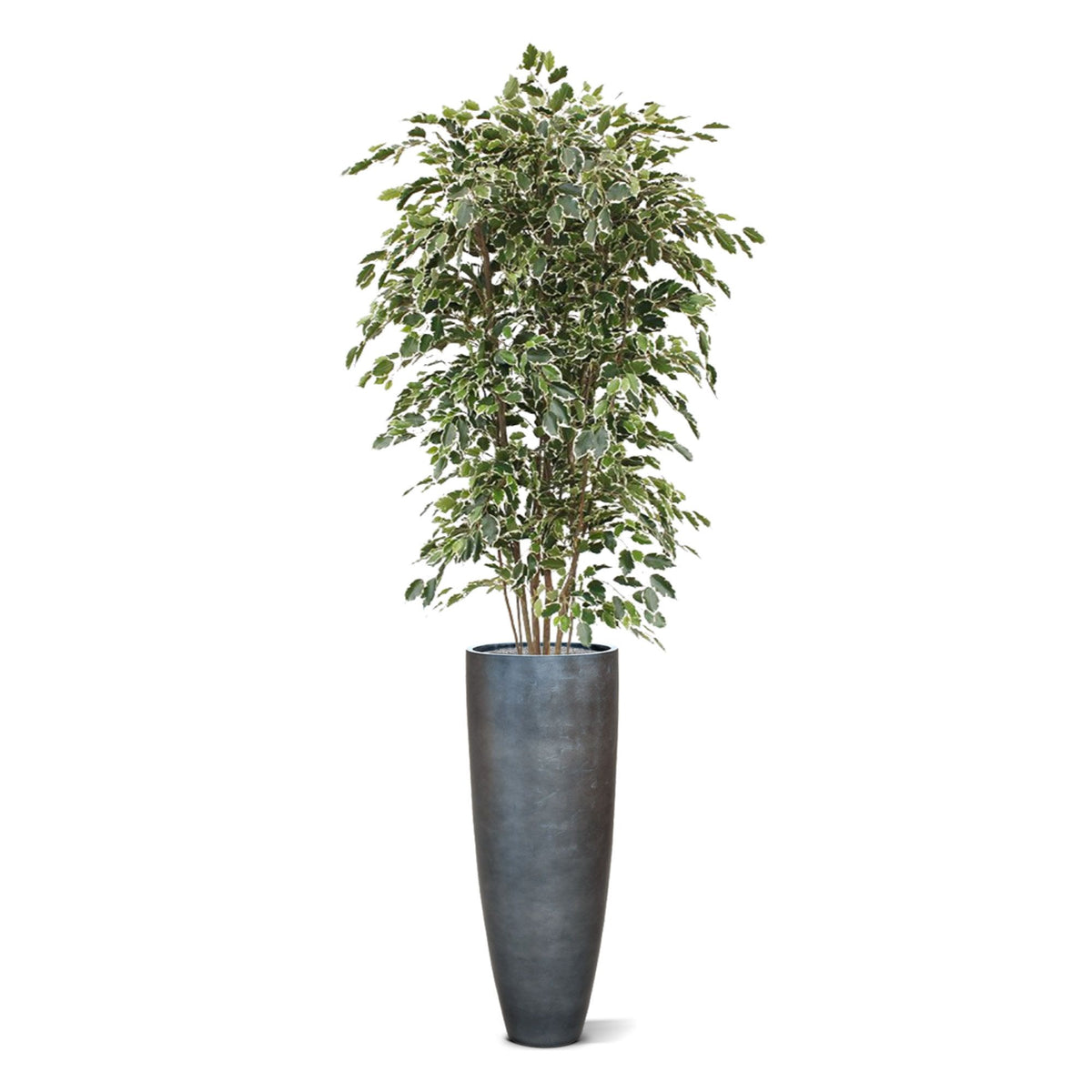 Ficus Exotica deluxe kunstboom 210cm - bont