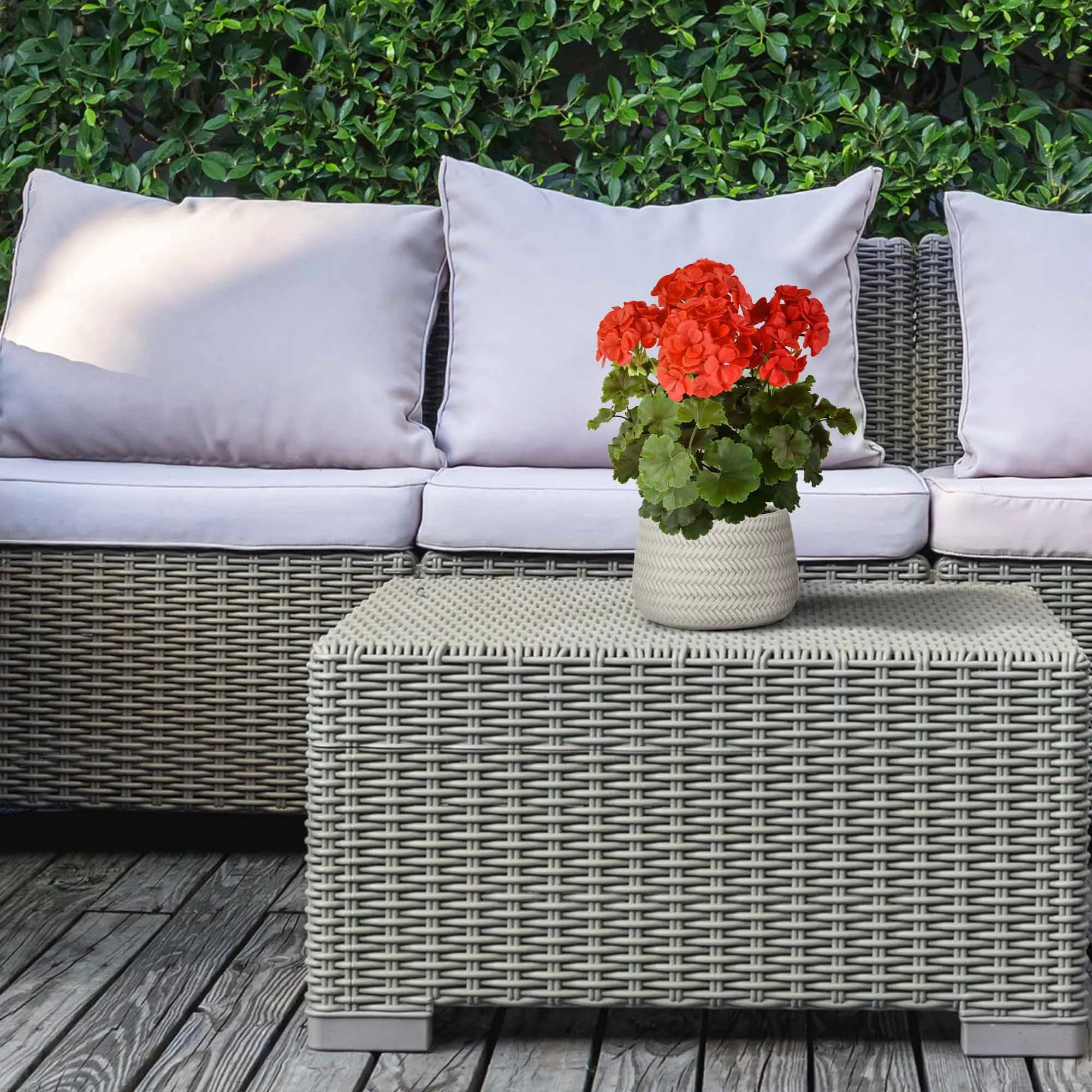 Extra lange rode, UV-bestendige kunstmatige geranium voor buiten, UV-bestendig.